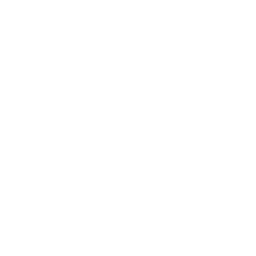 instagram.ico